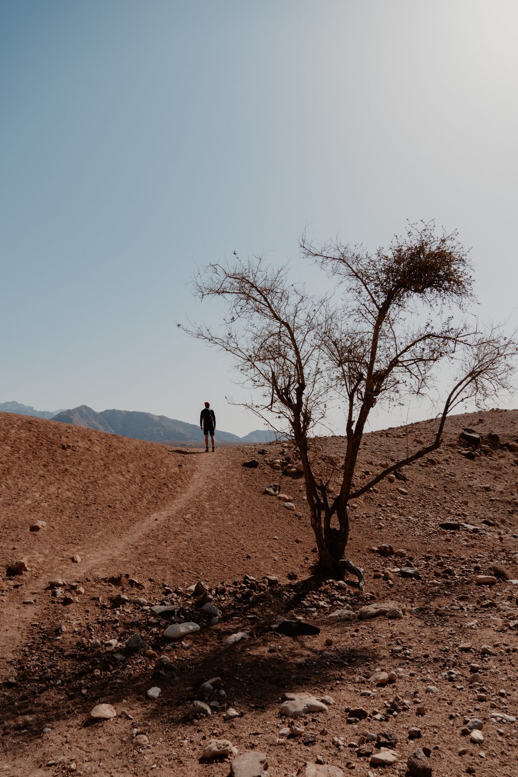 the jordan trail woestijn