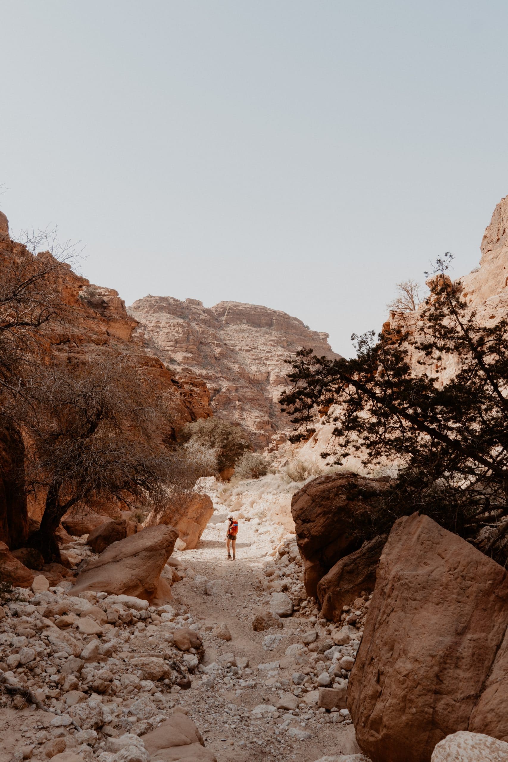 the jordan trail
